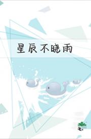 星辰不晓雨