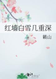红墙白雪几重深