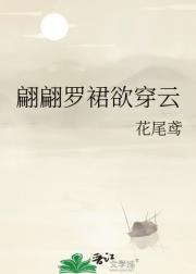 翩翩罗裙欲穿云