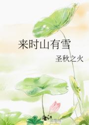 来时山有雪