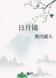 日月镜