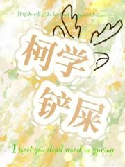 柯学铲屎