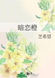 暗恋橙