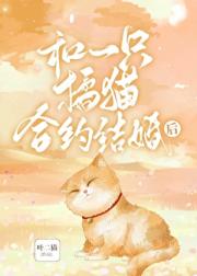 和一只橘猫合约结婚后