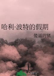 哈利·波特的假期