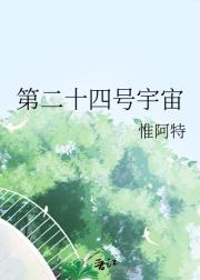 第二十四号宇宙