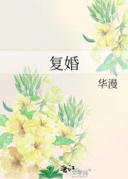 复婚