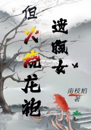 小侯爷女扮男装历险记