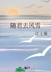 随君去风雪