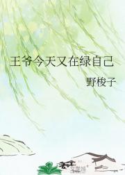 王爷今天又在绿自己