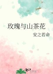 玫瑰与山茶花
