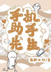 手机助手先生