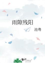 雨隙残阳