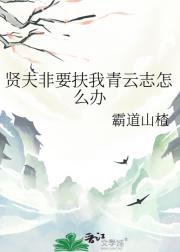 贤夫非要扶我青云志怎么办