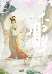 副使大人入赘了