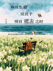 昨日生命绽放于明日逝去之时
