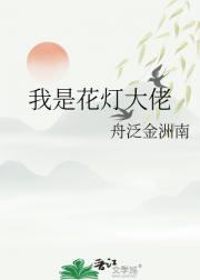 我是花灯大佬