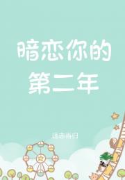 暗恋你的第二年