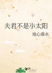 夫君不是小太阳
