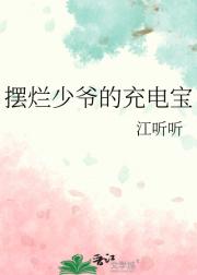 摆烂少爷的充电宝