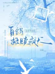 白鸽总在失忆后救赎疯犬