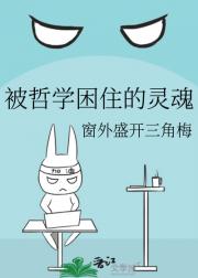 被哲学困住的灵魂