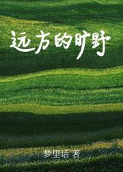 远方的旷野