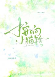 按响小猫铃