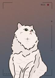 他的镜头里有我的猫