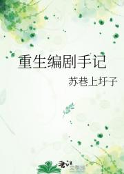 重生编剧手记