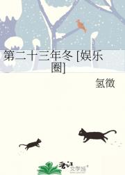 第二十三年冬 [娱乐圈]
