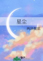 星尘