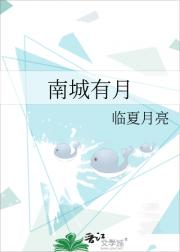 南城有月