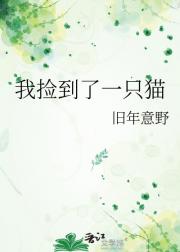 我捡到了一只猫