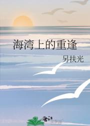 海湾上的重逢