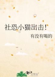 社恐小猫出击！