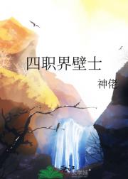 四职界壁士