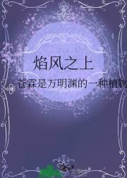 焰风之上