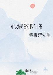 心域的降临