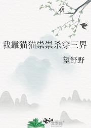 我靠猫猫祟祟杀穿三界