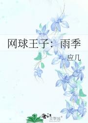 网球王子：雨季