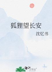 狐狸望长安