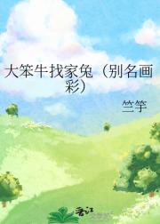 大笨牛找家兔（别名画彩）