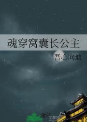 魂穿窝囊长公主