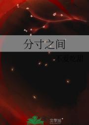 分寸之间