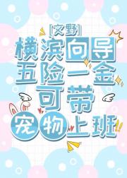 [文野]横滨向导，五险一金，可带宠物上班