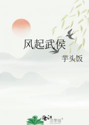 风起武侯