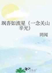 飒沓如流星（一念关山辛光）