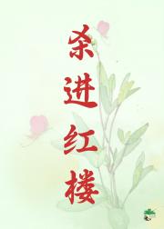 杀进红楼