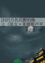 [HP]月色沉醉的晚上（原女×莱姆斯卢平